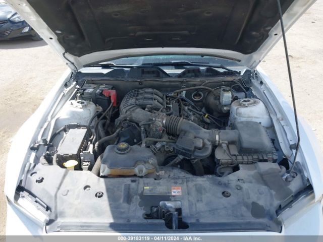 1ZVBP8AM0E5250446 Ford Mustang V6
