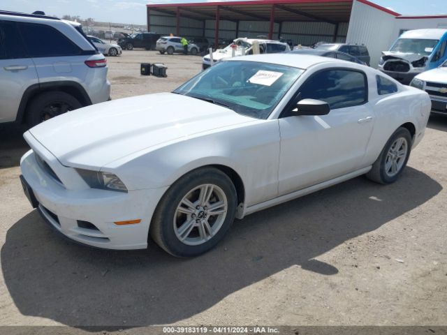 1ZVBP8AM0E5250446 Ford Mustang V6