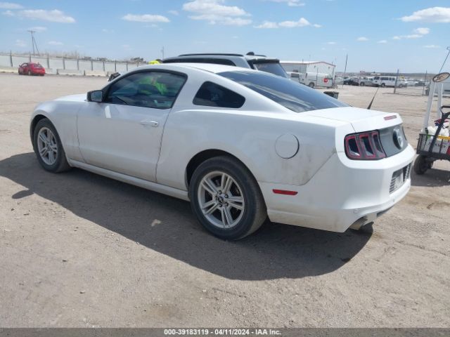 1ZVBP8AM0E5250446 Ford Mustang V6