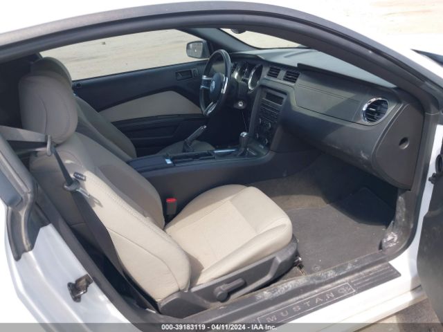 1ZVBP8AM0E5250446 Ford Mustang V6