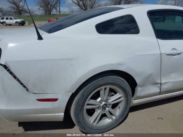 1ZVBP8AM0E5250446 Ford Mustang V6