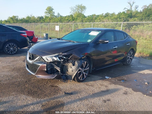 Nissan Maxima 3.5 Sv 2016 1N4AA6AP1GC412751 Image 2