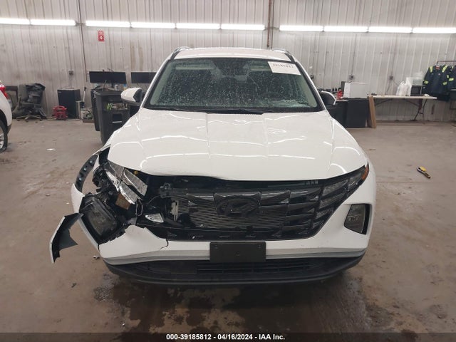 Hyundai TUCSON SEL 2024 5NMJBCDE3RH334378 Image 12