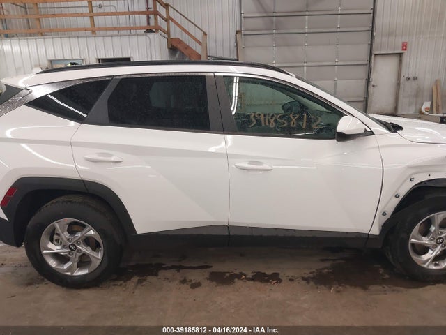 Hyundai TUCSON SEL 2024 5NMJBCDE3RH334378 Image 13