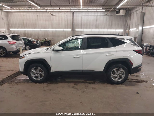 Hyundai TUCSON SEL 2024 5NMJBCDE3RH334378 Image 14