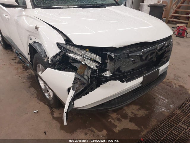 Hyundai TUCSON SEL 2024 5NMJBCDE3RH334378 Image 6