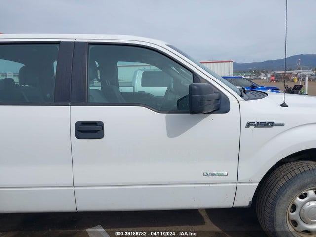 Ford F-150 Xl 2014 1FTFW1ET4EFB69993 Image 13