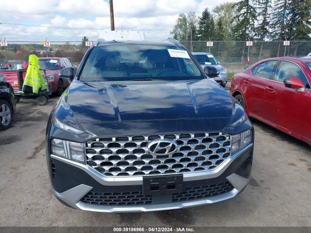 Hyundai Santa Fe Hybrid Blue 2023 5NMS2DA10PH016002 Image 12