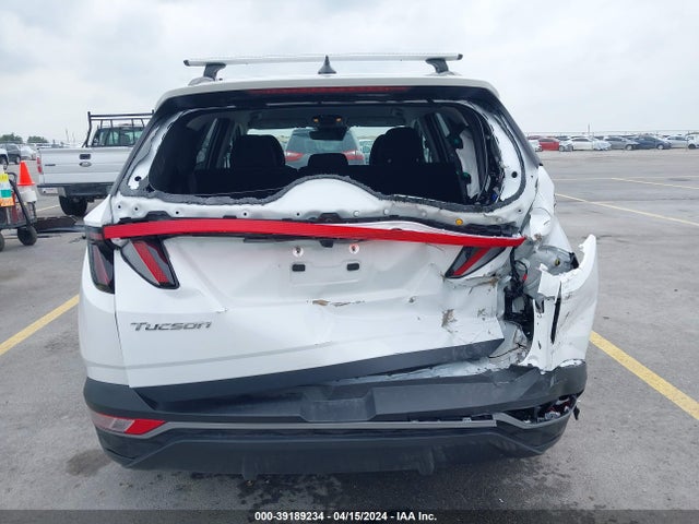 Hyundai TUCSON SEL 2023 5NMJB3AEXPH292017 Image 16