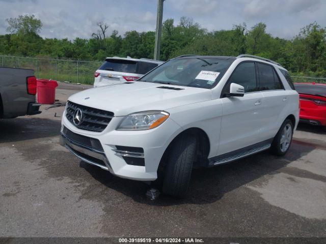 4JGDA5JB9FA529568 Mercedes-Benz ML 350