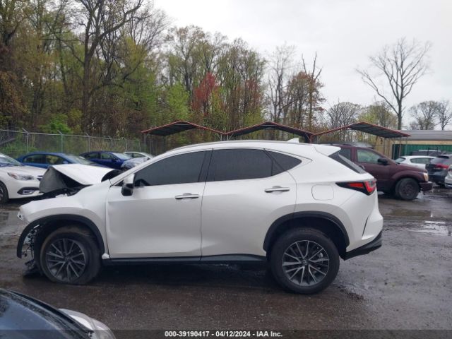 2T2GGCEZ5NC007621 Lexus Nx 350 Premium