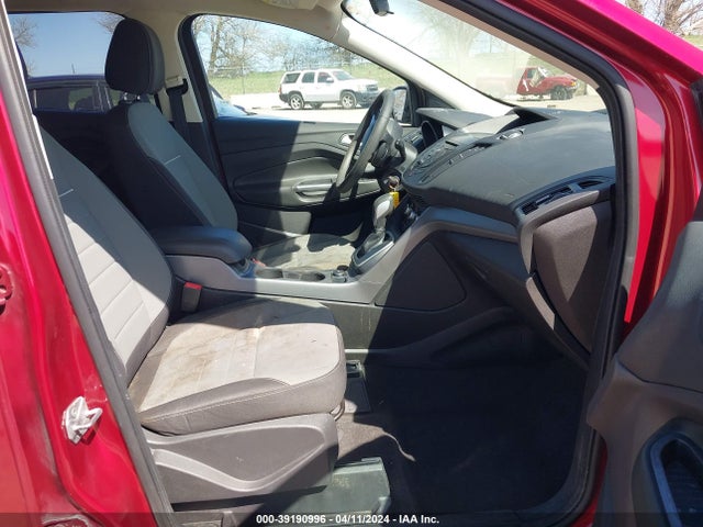 Ford ESCAPE SE 2014 1FMCU0GX7EUA52774 Image 5