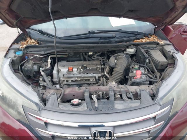 5J6RM3H71EL020160 Honda Cr-v Ex-l