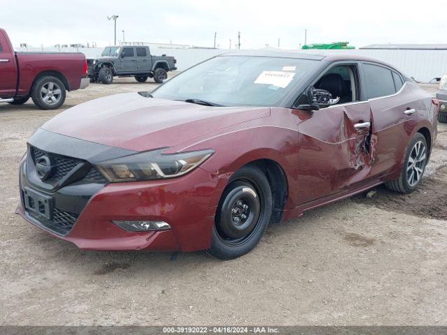 1N4AA6AP0GC399149 Nissan Maxima 3.5 Sl