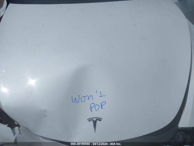 2023 TESLA MODEL Y 7SAYGDEF8PF660515 Photo 9