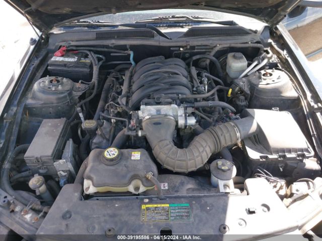 2005 FORD MUSTANG 1ZVHT82H555128480 Photo 9
