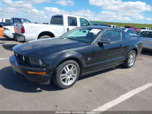 2005 FORD MUSTANG 1ZVHT82H555128480 Photo 1