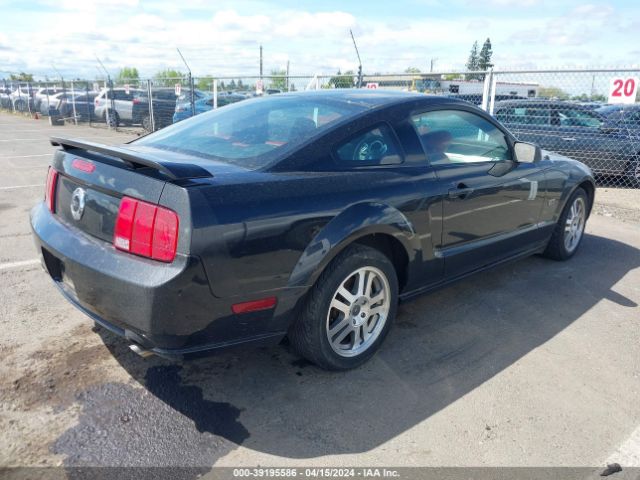 2005 FORD MUSTANG 1ZVHT82H555128480 Photo 3