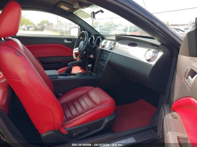 2005 FORD MUSTANG 1ZVHT82H555128480 Photo 4