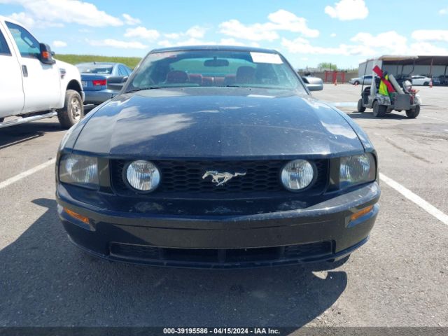 2005 FORD MUSTANG 1ZVHT82H555128480 Photo 5