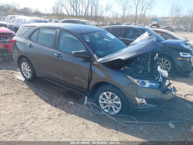 Chevrolet Equinox Fwd Ls 2021 2GNAXHEV2M6134371 zdjęcie główne