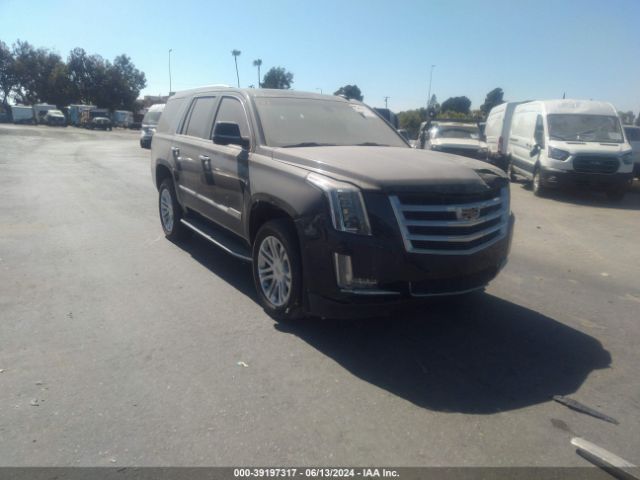 Продажа на аукционе авто 2018 Cadillac Escalade Standard, vin: 1GYS3AKJXJR126577, номер лота: 39197317