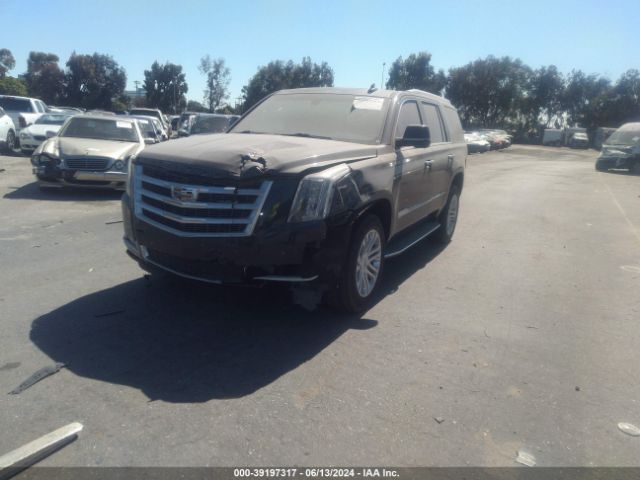 1GYS3AKJXJR126577 Cadillac Escalade Standard