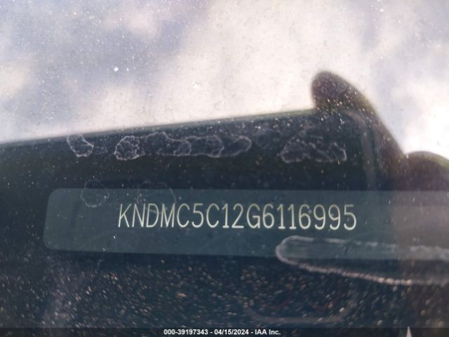 KNDMC5C12G6116995 KIA SEDONA EX