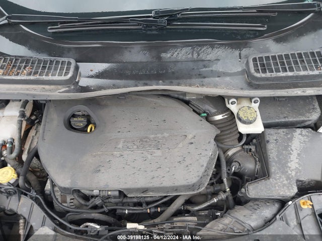 Ford ESCAPE SE 2014 1FMCU0GX1EUC36320 Image 10