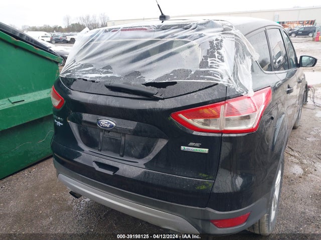 Ford ESCAPE SE 2014 1FMCU0GX1EUC36320 Image 12