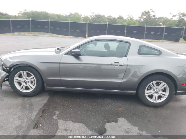 Ford Mustang V6 2014 1ZVBP8AMXE5251197 Image 14