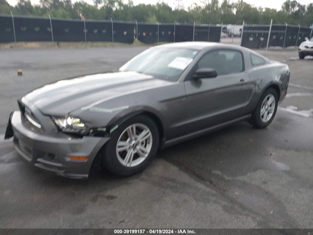 Ford Mustang V6 2014 1ZVBP8AMXE5251197 Image 2