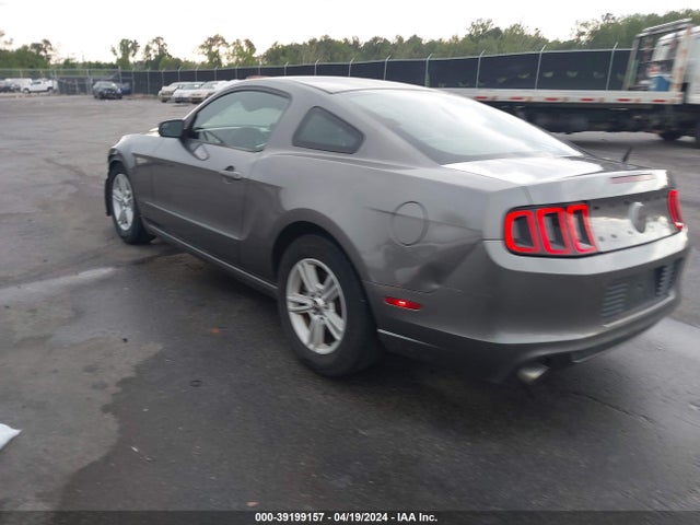 Ford Mustang V6 2014 1ZVBP8AMXE5251197 Image 3