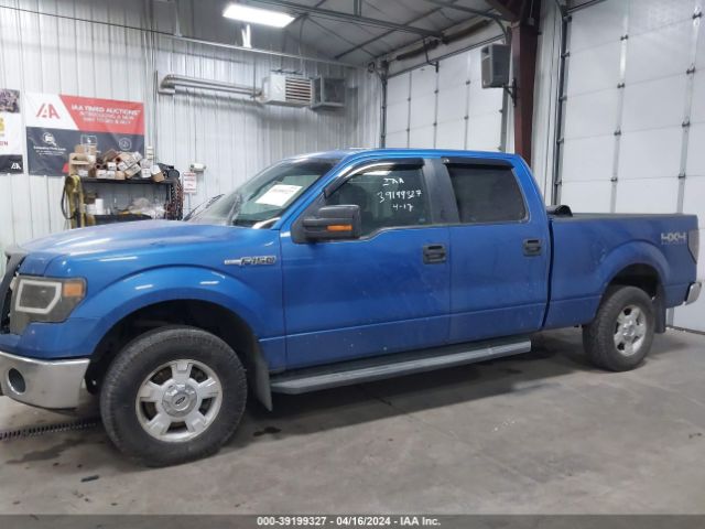 1FTFW1EF0EKD41177 Ford F-150 Xlt