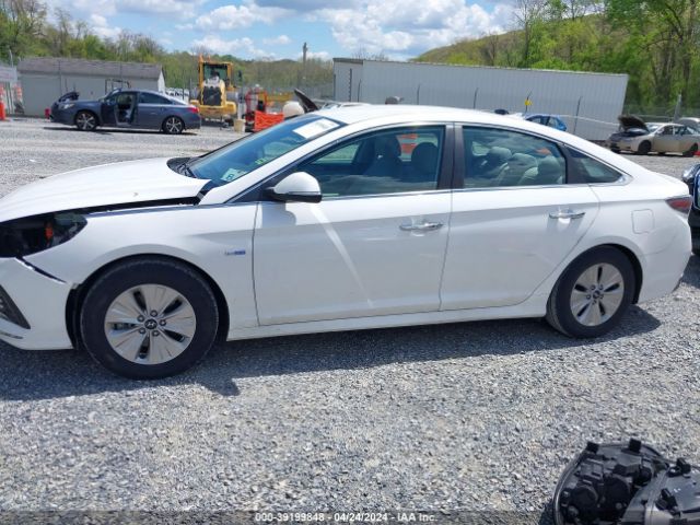 KMHE24L37KA087711 Hyundai Sonata Hybrid Se