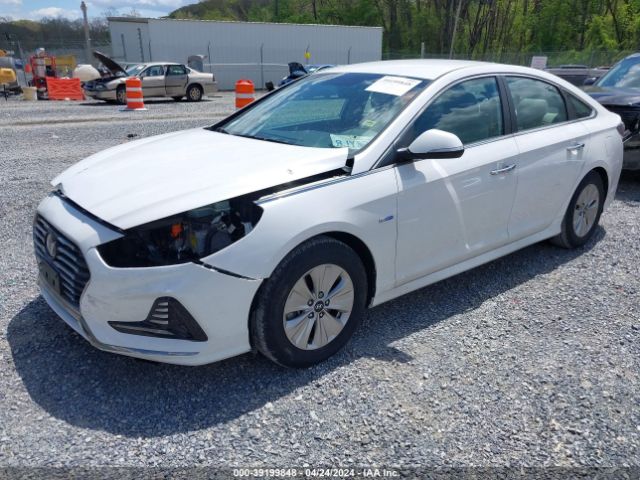 KMHE24L37KA087711 Hyundai Sonata Hybrid Se