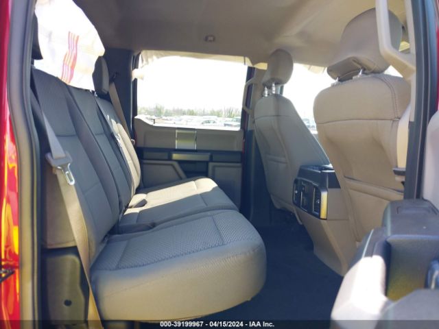 1FTEW1EG7GFD18866 Ford F-150 Xlt