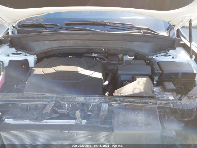 KIA Telluride Sx X-line 2024 5XYP5DGCXRG418449 Image 10