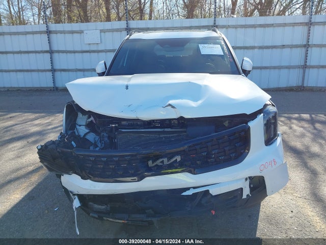 KIA Telluride Sx X-line 2024 5XYP5DGCXRG418449 Image 12