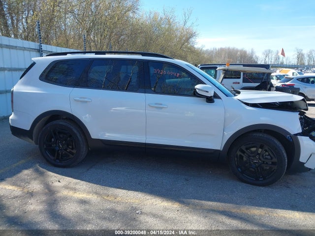 KIA Telluride Sx X-line 2024 5XYP5DGCXRG418449 Image 13
