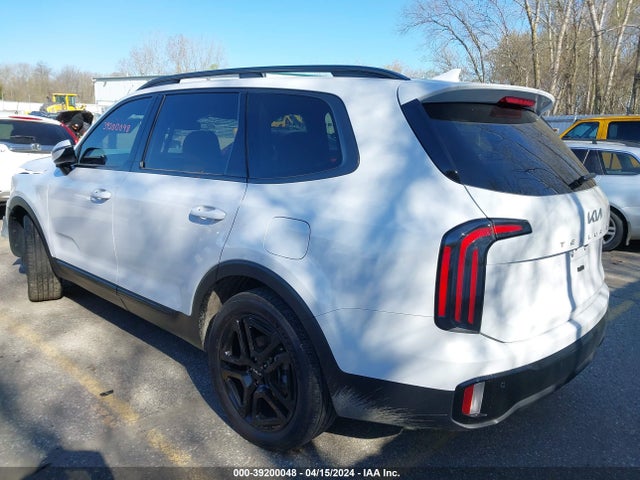 KIA Telluride Sx X-line 2024 5XYP5DGCXRG418449 Image 3