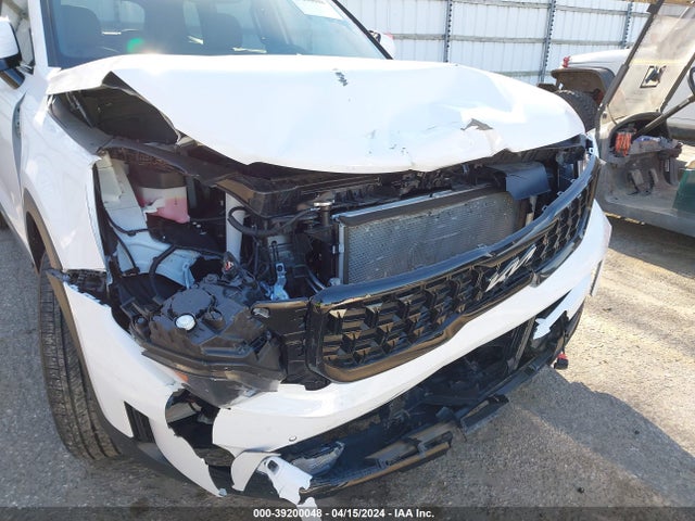 KIA Telluride Sx X-line 2024 5XYP5DGCXRG418449 Image 6