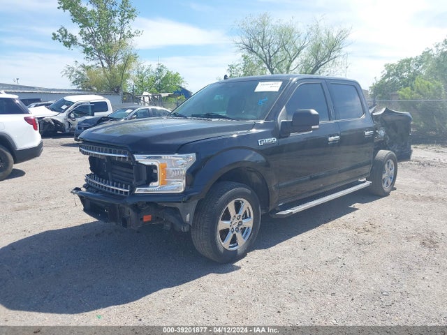 Ford F-150 Xlt 2019 1FTEW1CP7KKD12245 Image 2