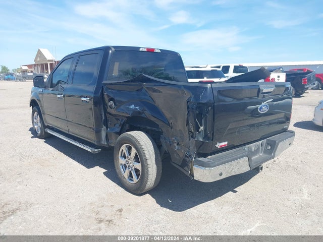 Ford F-150 Xlt 2019 1FTEW1CP7KKD12245 Image 3