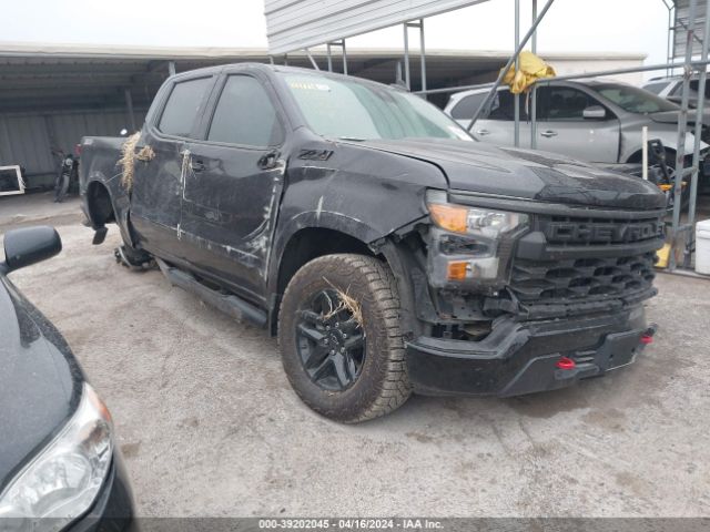 Auction sale of the 2023 Chevrolet Silverado 1500 4wd  Short Bed Custom Trail Boss, vin: 3GCUDCED8PG359220, lot number: 39202045
