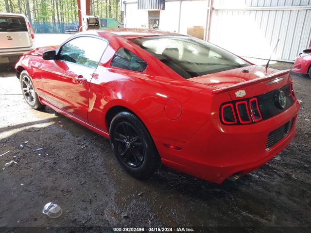 1ZVBP8AM1E5322335 Ford Mustang V6 Premium