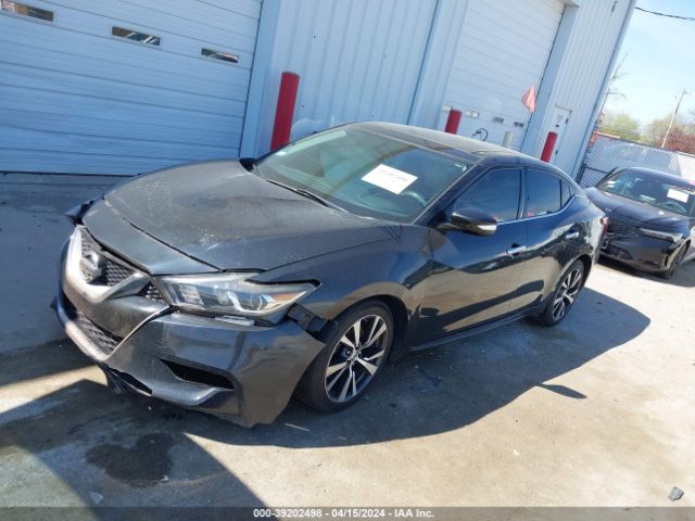 1N4AA6AP6GC392545 Nissan Maxima 3.5 Sl