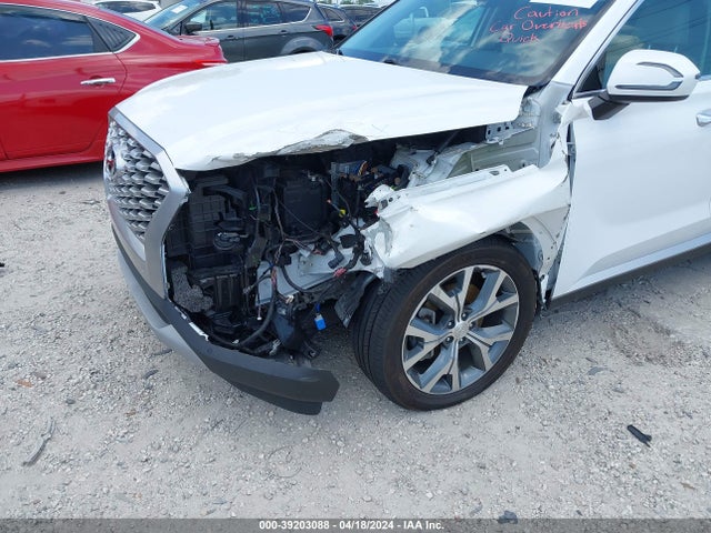 Hyundai Palisade Sel 2021 KM8R44HE3MU233092 Image 6