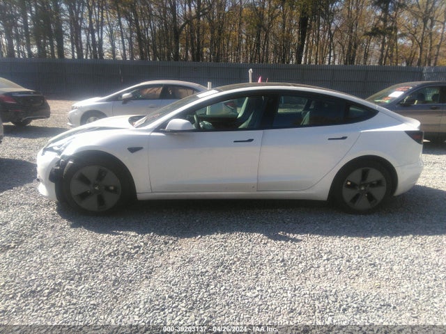 Tesla Model 3 Rear-wheel Drive 2023 5YJ3E1EA8PF499986 Image 13