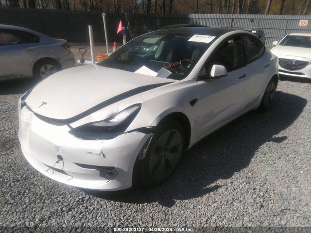 Tesla Model 3 Rear-wheel Drive 2023 5YJ3E1EA8PF499986 Image 2
